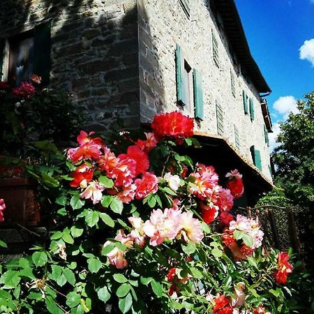 Podere I Rovai-Apt Il Rifugio- In The Heart Of Tuscany เรกเจลโล ภายนอก รูปภาพ