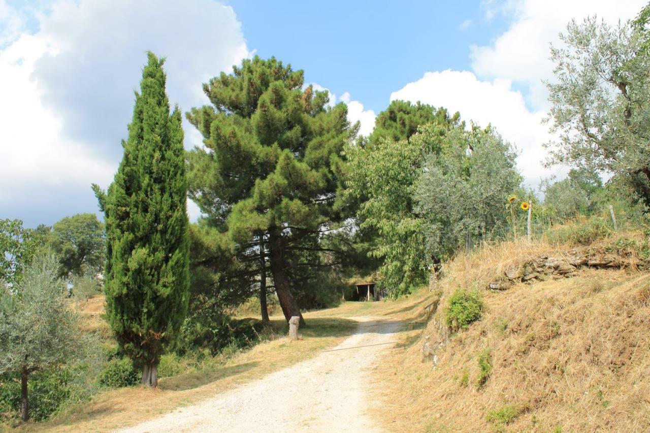 Podere I Rovai-Apt Il Rifugio- In The Heart Of Tuscany เรกเจลโล ภายนอก รูปภาพ