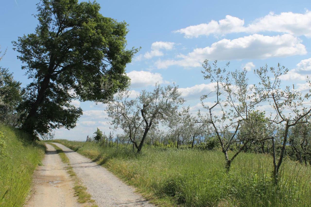 Podere I Rovai-Apt Il Rifugio- In The Heart Of Tuscany เรกเจลโล ภายนอก รูปภาพ